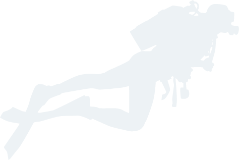 乐鱼体育官方